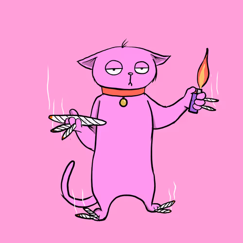 Blazed Cat #1256