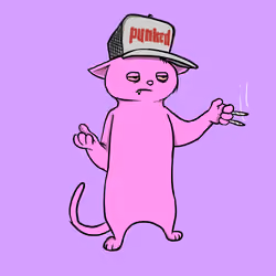 Blazed Cat #8098