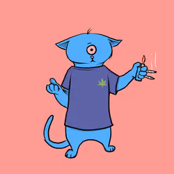 Blazed Cat #2384