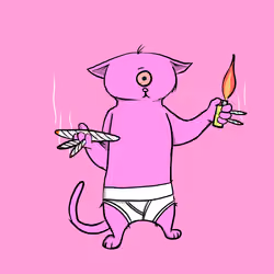 Blazed Cat #2139