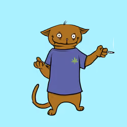 Blazed Cat #2824