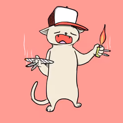 Blazed Cat #1593