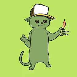 Blazed Cat #6727