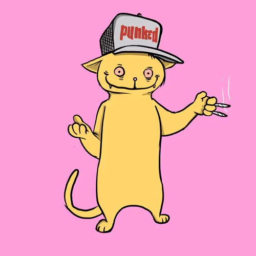 Blazed Cat #6945