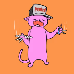 6428