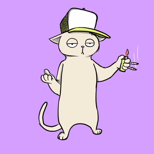 Blazed Cat #6391