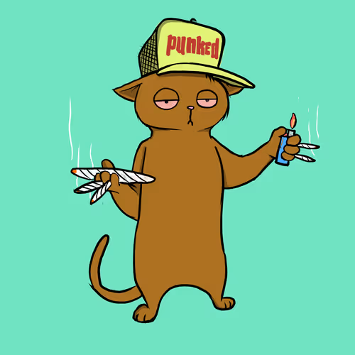 Blazedcats