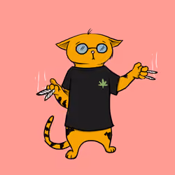 Blazed Cat #2587