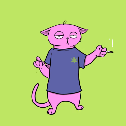 Blazed Cat #8886