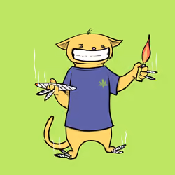 Blazed Cat #5477