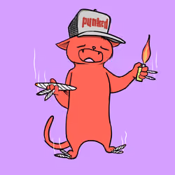 Blazed Cat #9286