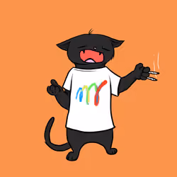 Blazed Cat #5576