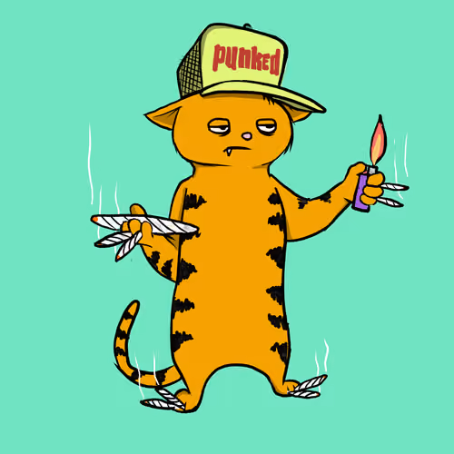 Blazed Cat #8356