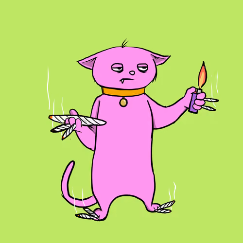 Blazed Cat #4854