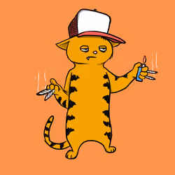 Blazed Cat #7222