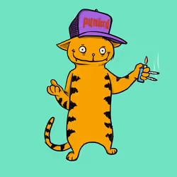 Blazed Cat #633