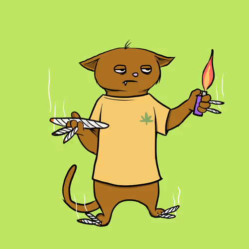 Blazed Cat #20