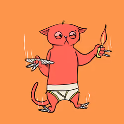 Blazed Cat #7952
