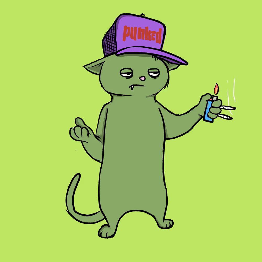 Blazed Cat #50
