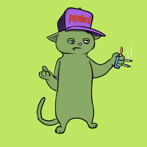 Blazed Cat #50