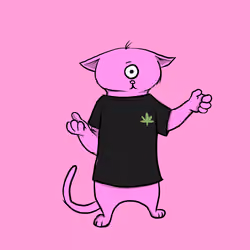 Blazed Cat #2964
