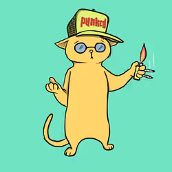 Blazed Cat #3989