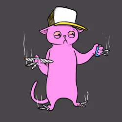 4148