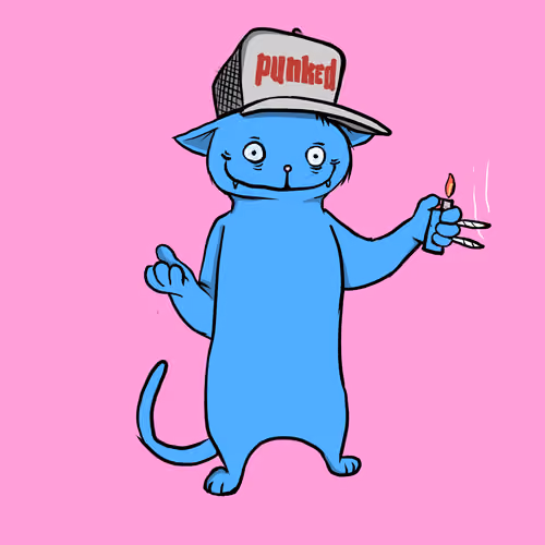 Blazed Cat #7129