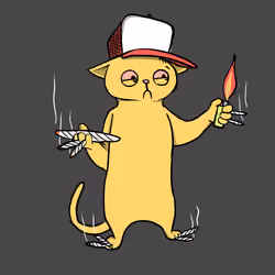 Blazed Cat #1075