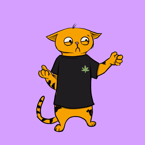 Blazed Cat #8230