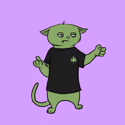 Blazed Cat #5715