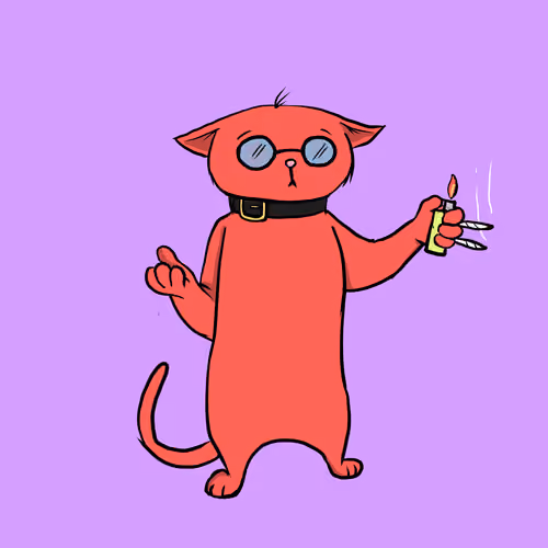 Blazed Cat #2708
