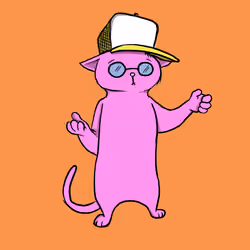 Blazed Cat #9133