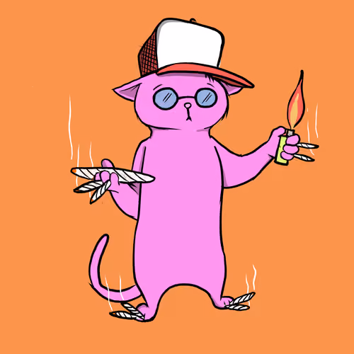 Blazed Cat #5499