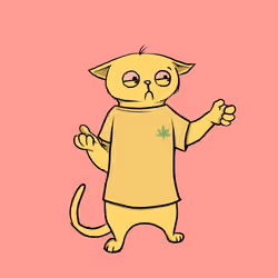 Blazed Cat #3939