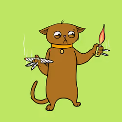 Blazed Cat #1178