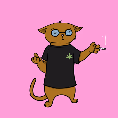 Blazed Cat #11