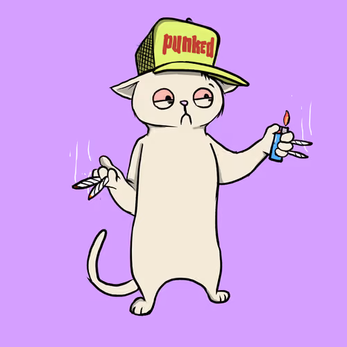 Blazed Cat #5519
