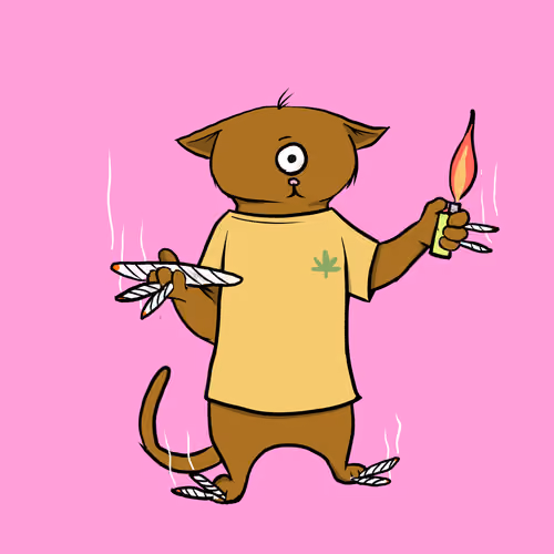 Blazed Cat #2504