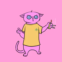 Blazed Cat #3962