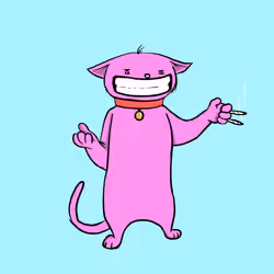 Blazed Cat #1800