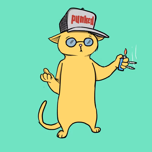 Blazed Cat #3134