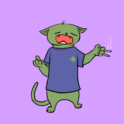 Blazed Cat #5036