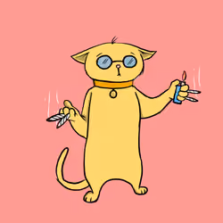 Blazed Cat #8104
