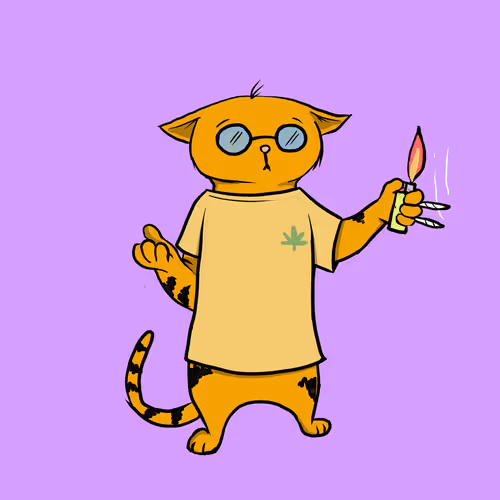 Blazed Cat #739