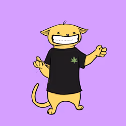 Blazed Cat #5667