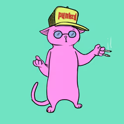 Blazed Cat #9165