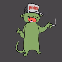 Blazed Cat #9346