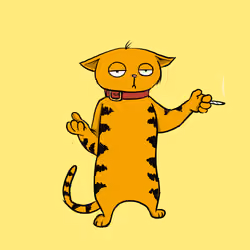 Blazed Cat #3462