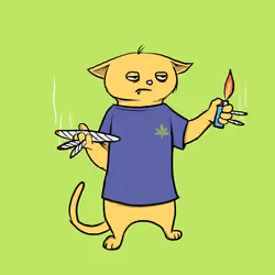 Blazed Cat #2812